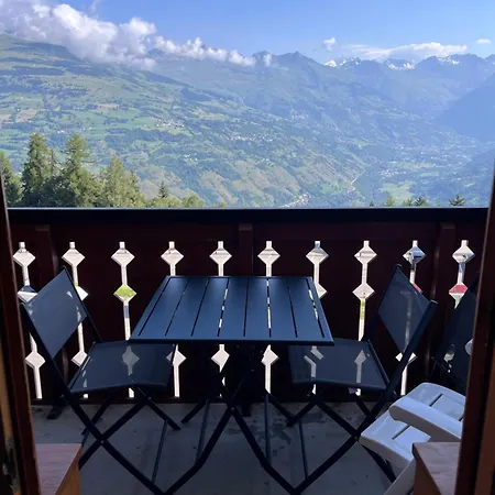 Au Pied Des Pistes Avec Vue Mont Blanc La Plagne-Tarentaise